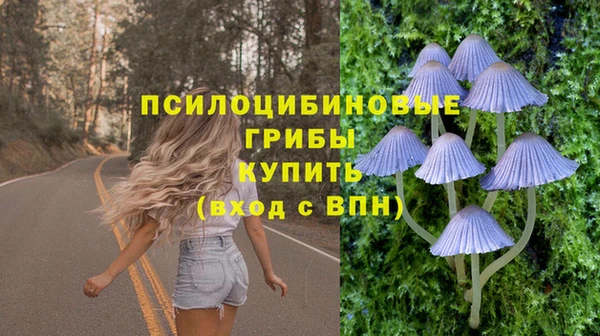 MESCALINE Аркадак