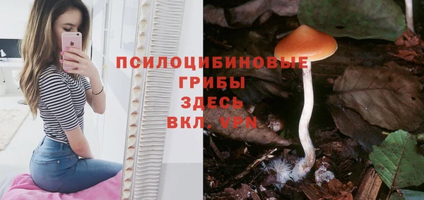стаф Армянск